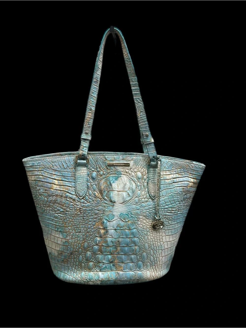 Brahmin - Picture 2 of 10